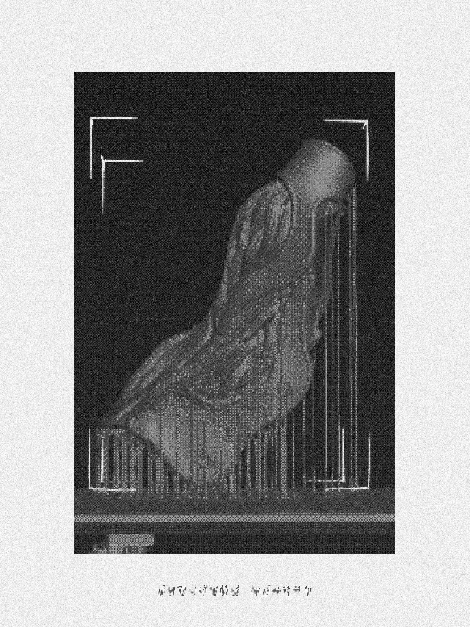 Alveo image 06