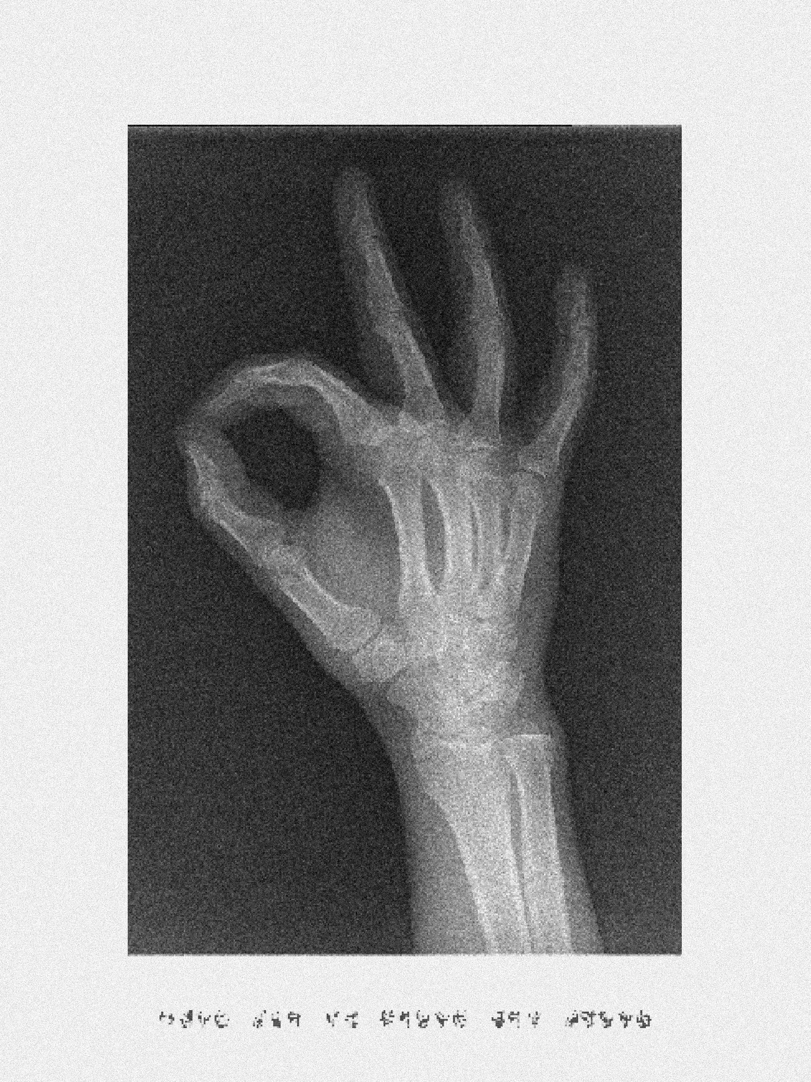 Alveo image 11