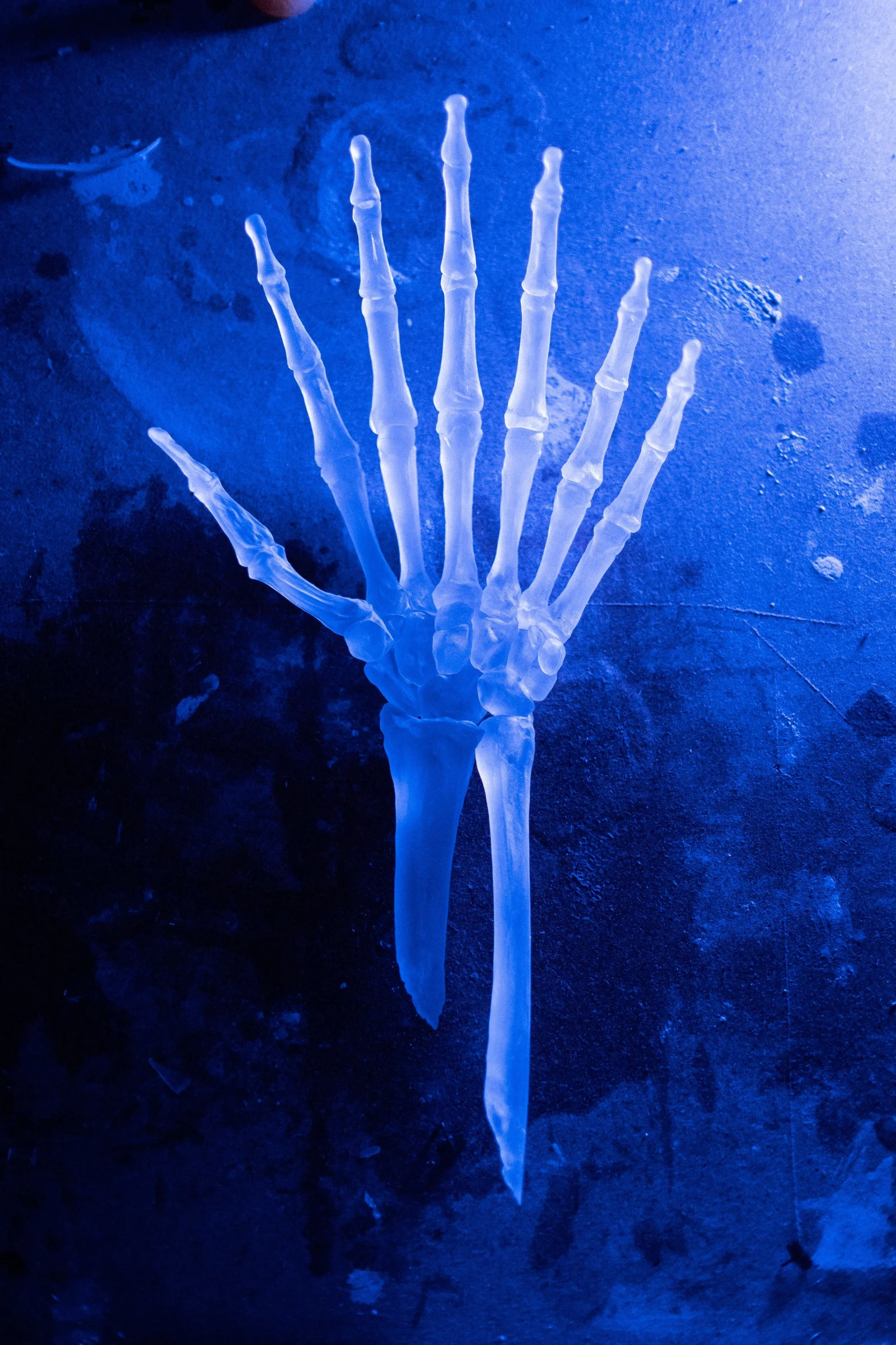 DSCF5853.jpg