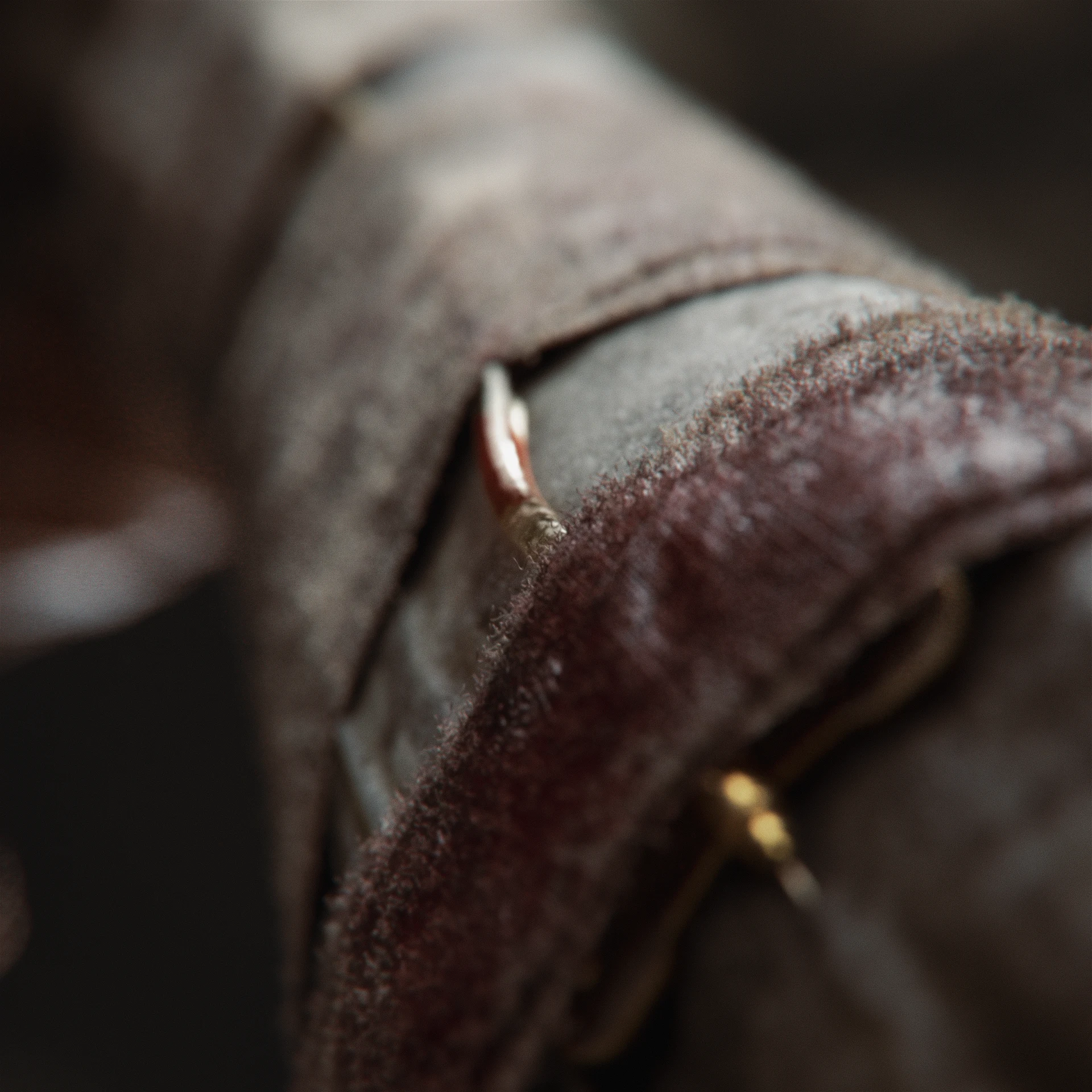 shot_15_00002.png