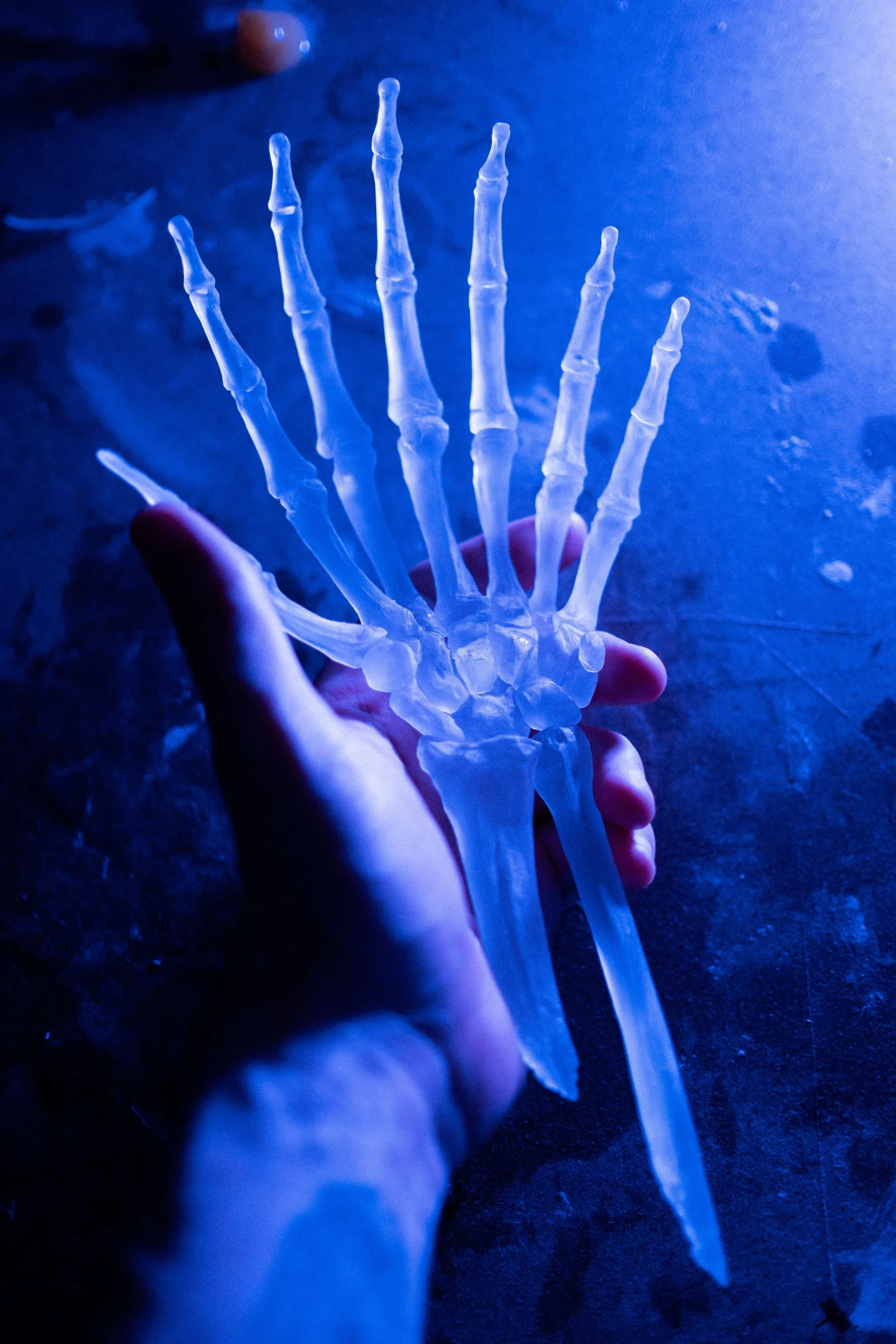 DSCF5850.jpg