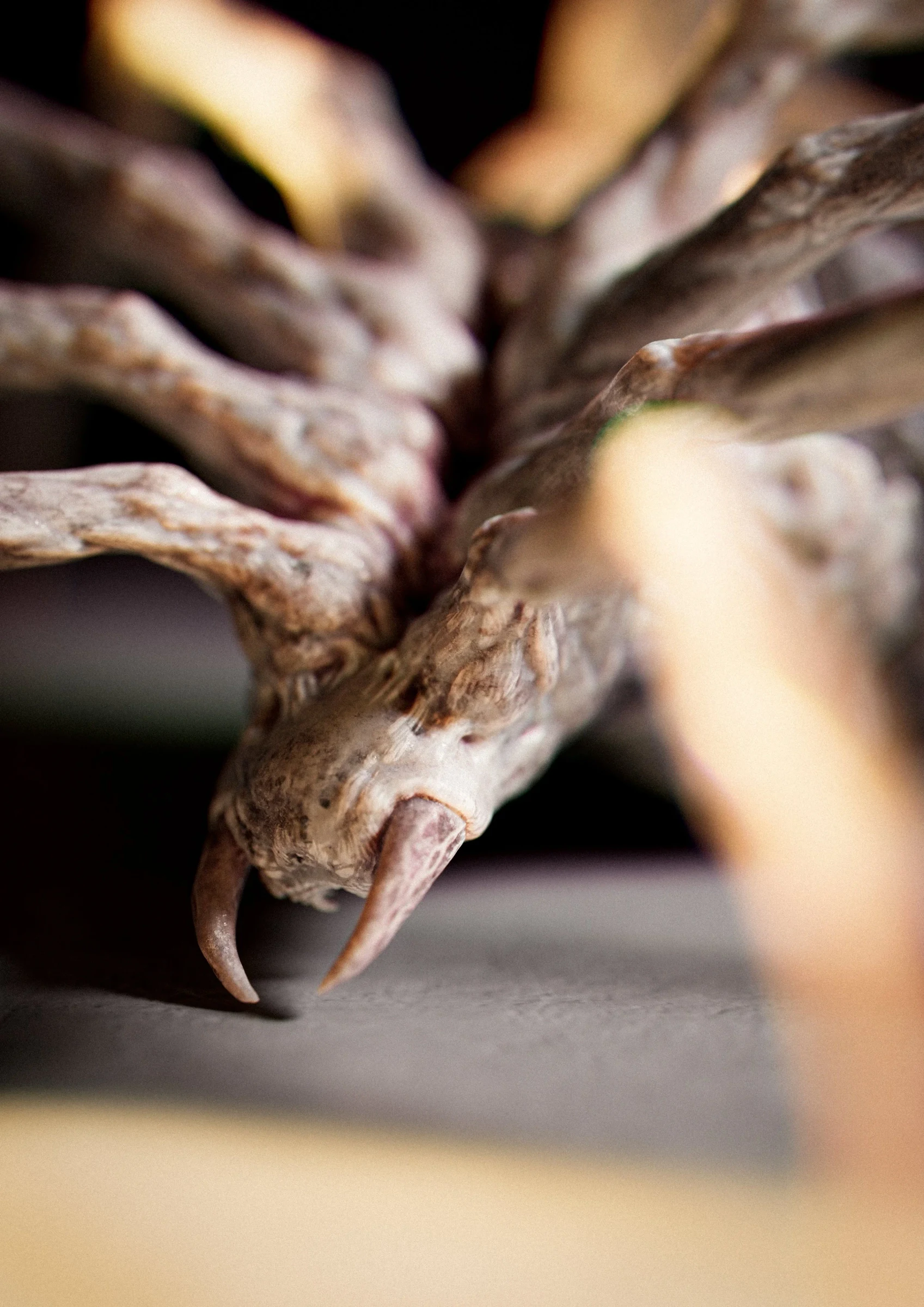 macro_01_solosun0062.jpg